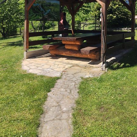 Guesthouse Mirko Hodak Seliste Dreznicko Exterior foto