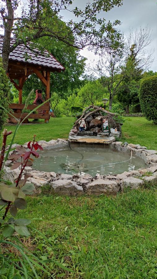 Guesthouse Mirko Hodak Seliste Dreznicko Exterior foto