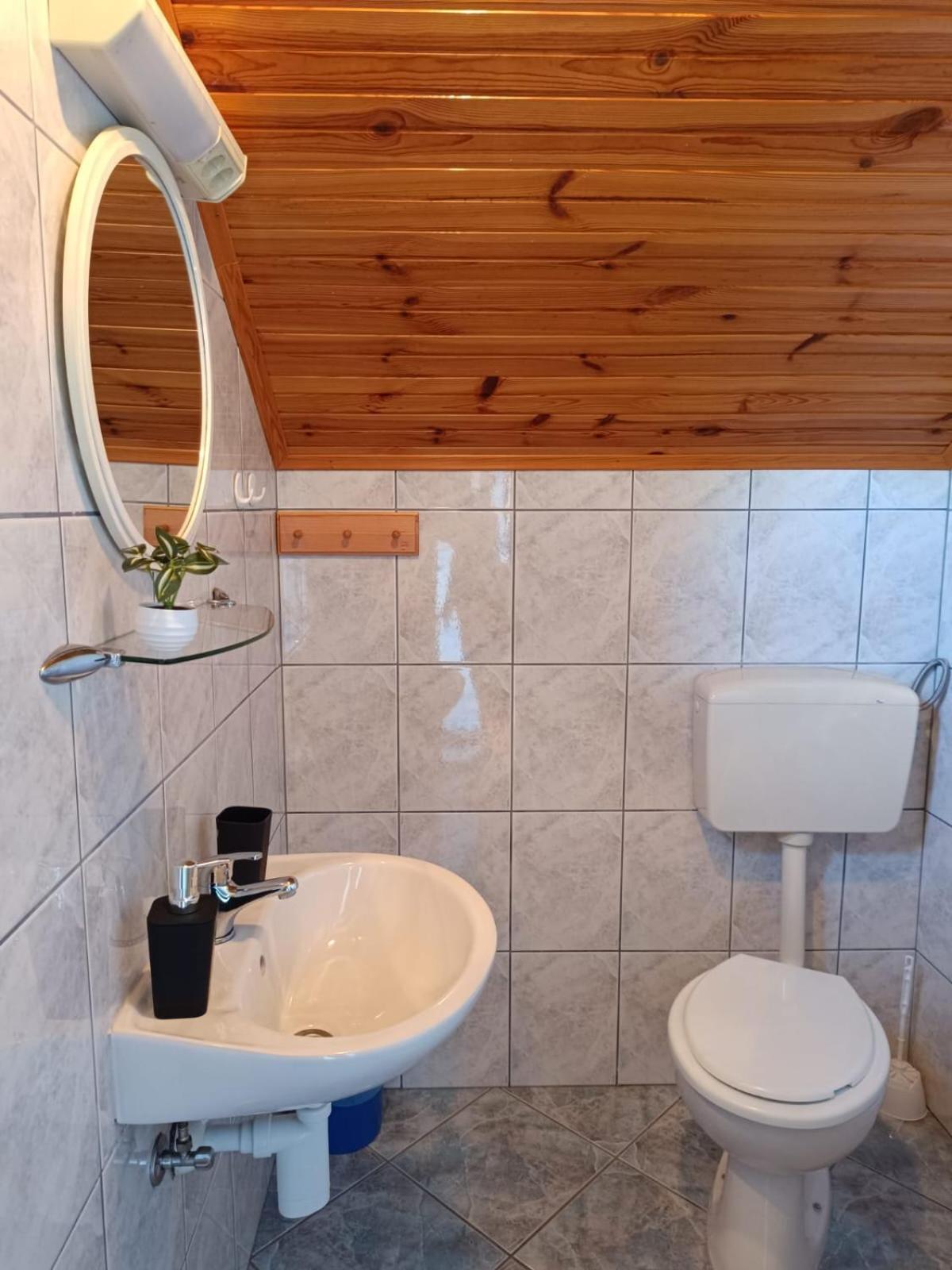 Guesthouse Mirko Hodak Seliste Dreznicko Exterior foto