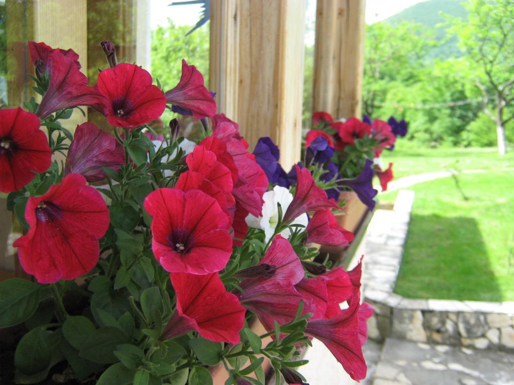 Guesthouse Mirko Hodak Seliste Dreznicko Exterior foto